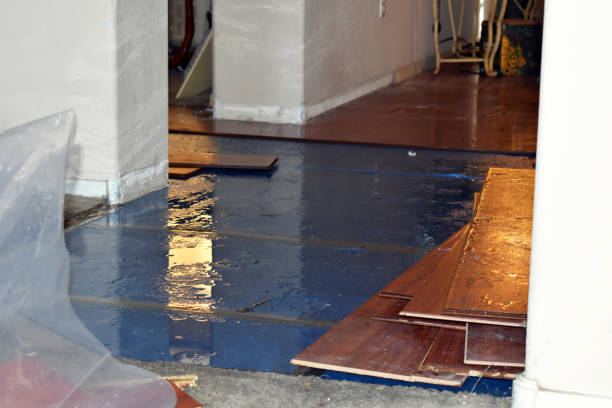 Professional Basement Water Removal technician working in Ashley, OH
